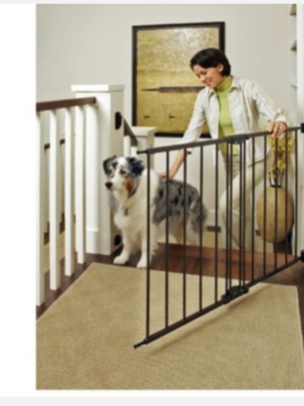 New Toddleroo By North Star Black Safety Gate Model 4950 Drill Mount